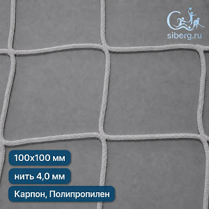 Защитная сетка на окна спортзала 100х100 мм 4 мм белая (Капрон, Полипропилен)